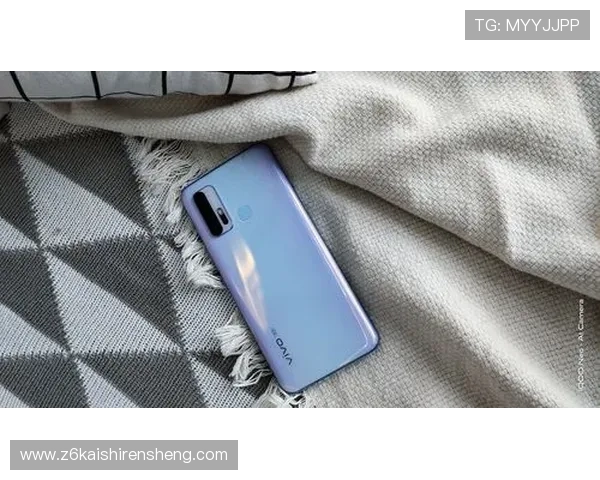 Z6就是博：如何利用Z6就是博的社区资源提升游戏体验与交流